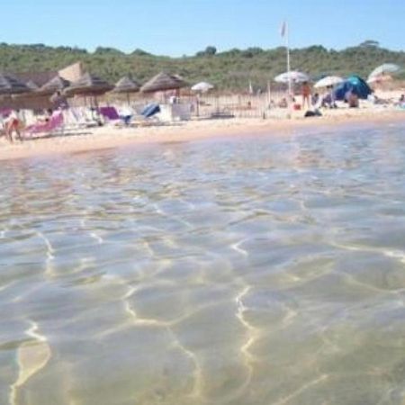 Willa La Casa Di Angy Terrasini Zewnętrze zdjęcie